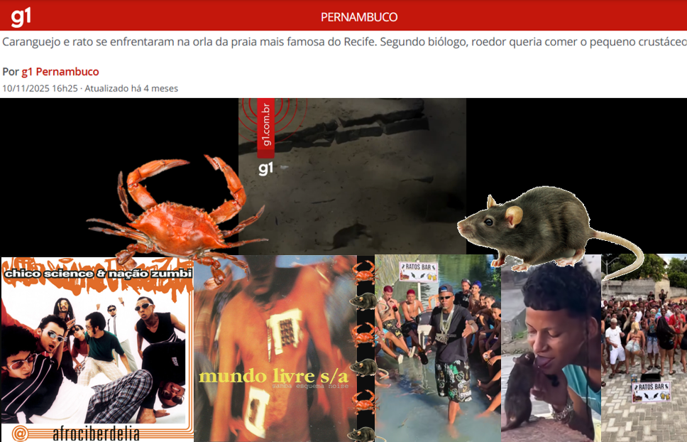 O caranguejo virou gabiru